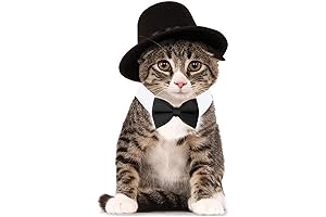 HUYADAPI Cat Tuxedo Outfit