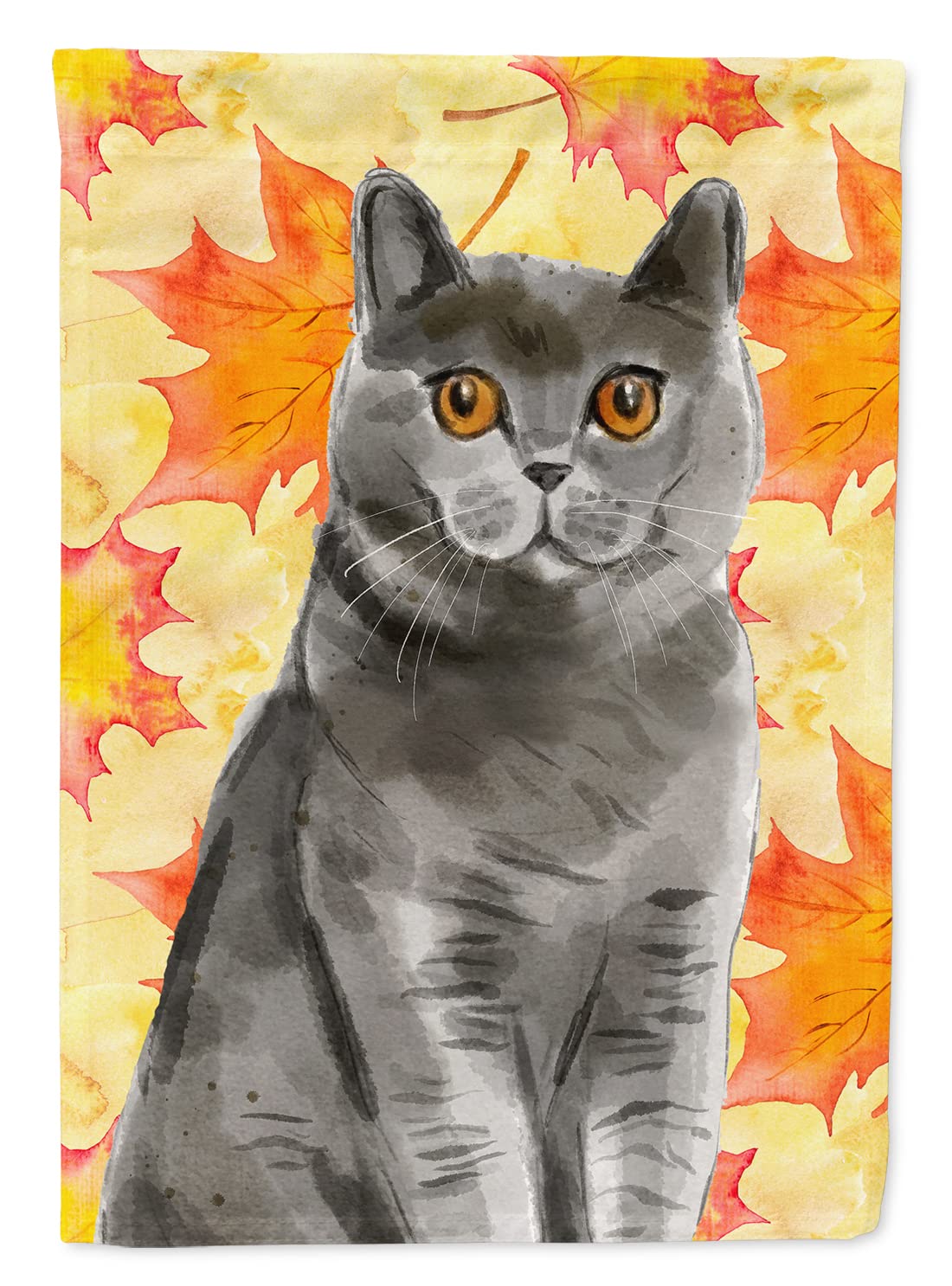 Drapeau British Shorthair automne pour embellir votre entrée de maison en octobre