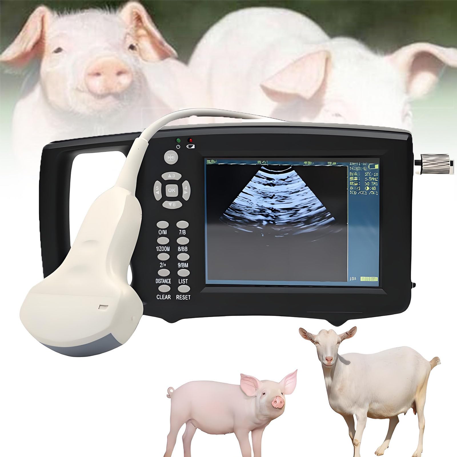 Scanner Veterinario Portatile con Touchscreen da 5,6" B