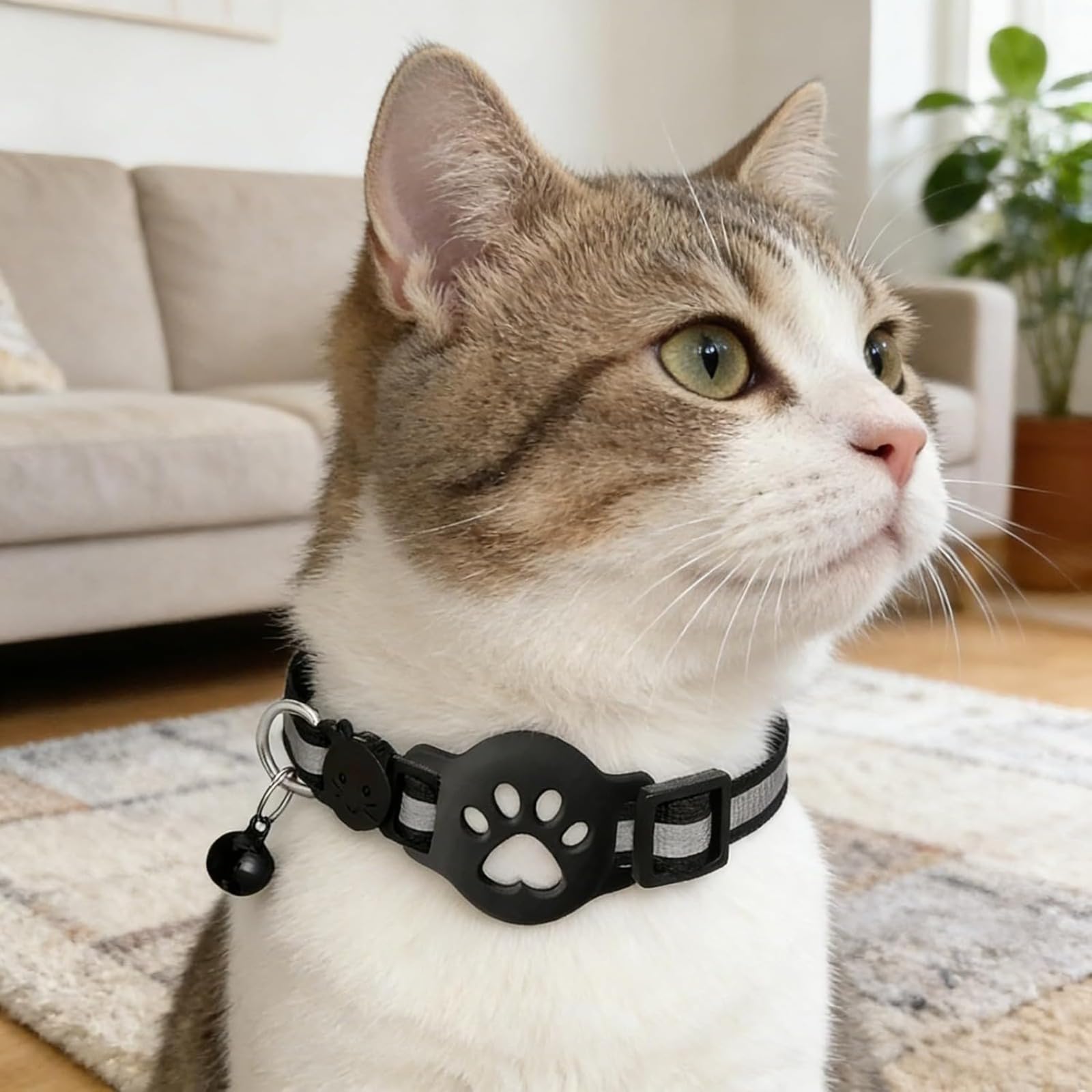 Collier GPS Chat,Traceur GPS Chat Tracker,Traceur GPS sans Carte sim,Bande réfléchissante, imperméable et résistante, avec Clochette,Convient Aussi Bien aux Chats qu'aux Chiens - 5