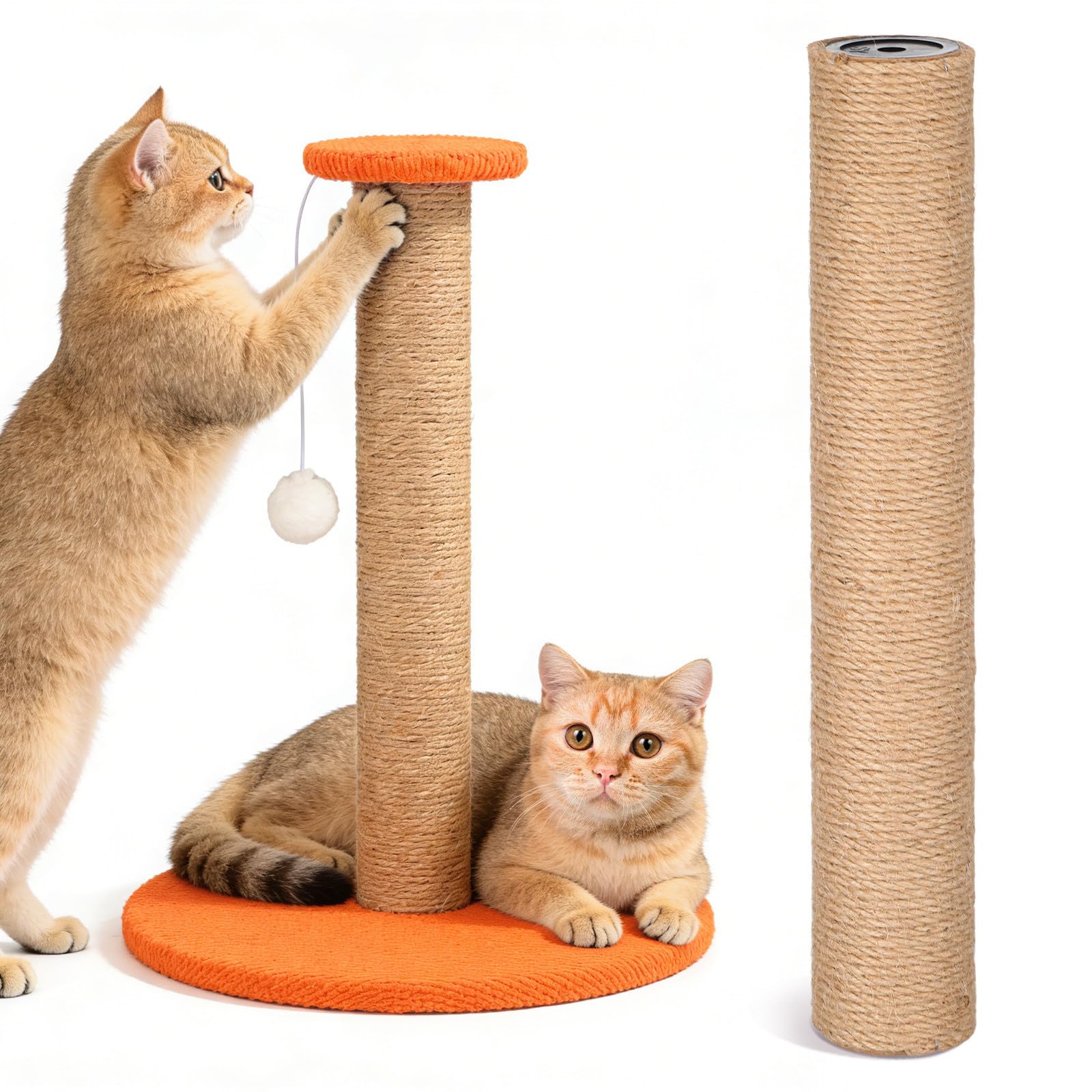 Rascador para gatos pequeños perfecto para evitar arañazos en muebles del salón