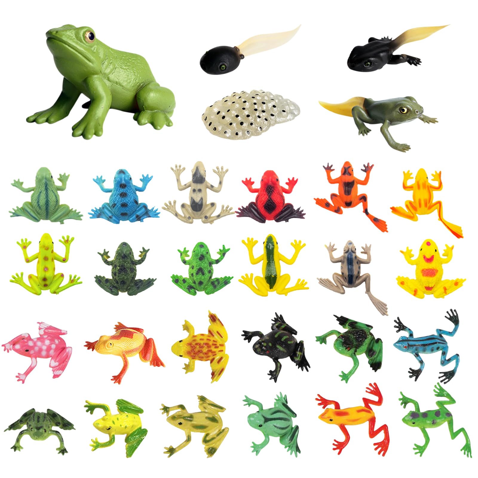 Bubuny 29 Pcs Realistic Frog Figures Tropical Frog Figures Model Set Simulation Animal Figures Model Toy Fish Tank Pool DIY Decoration Use for Kids Toddlers