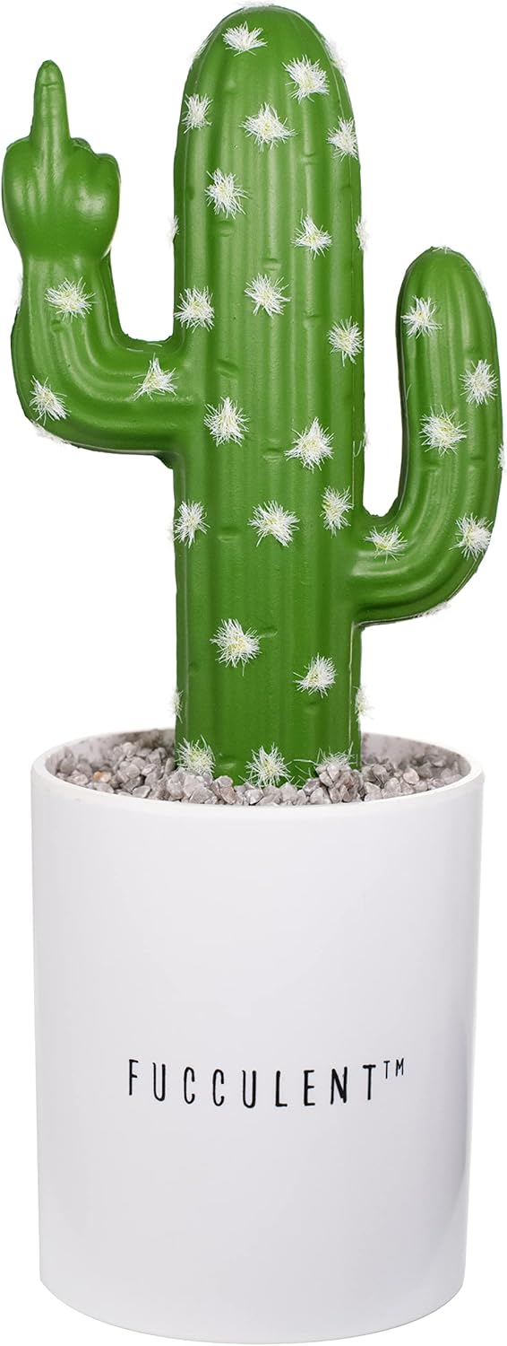 FUCCULENT The Desk Ornament Office Decoration