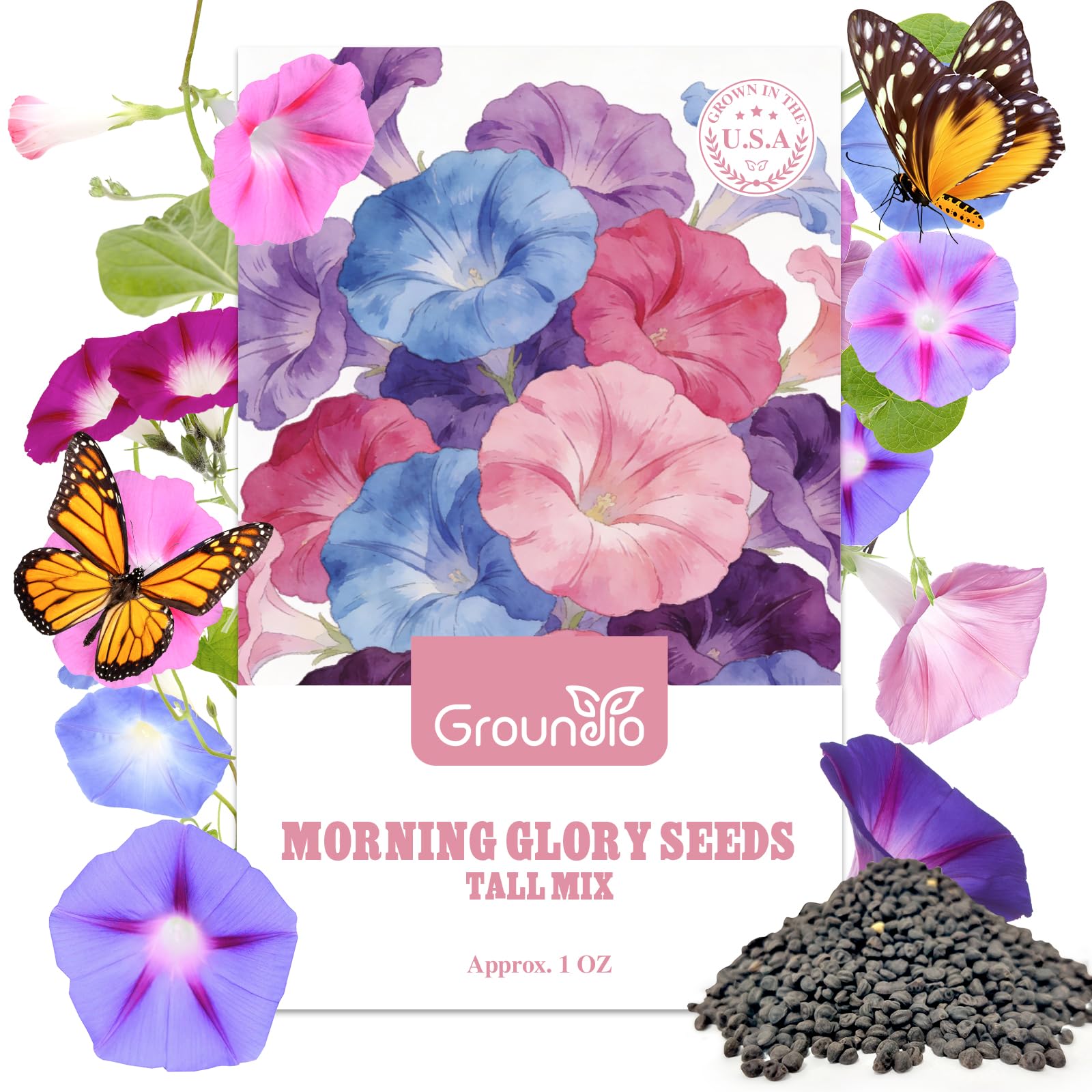 Groundio Morning Glory Mix