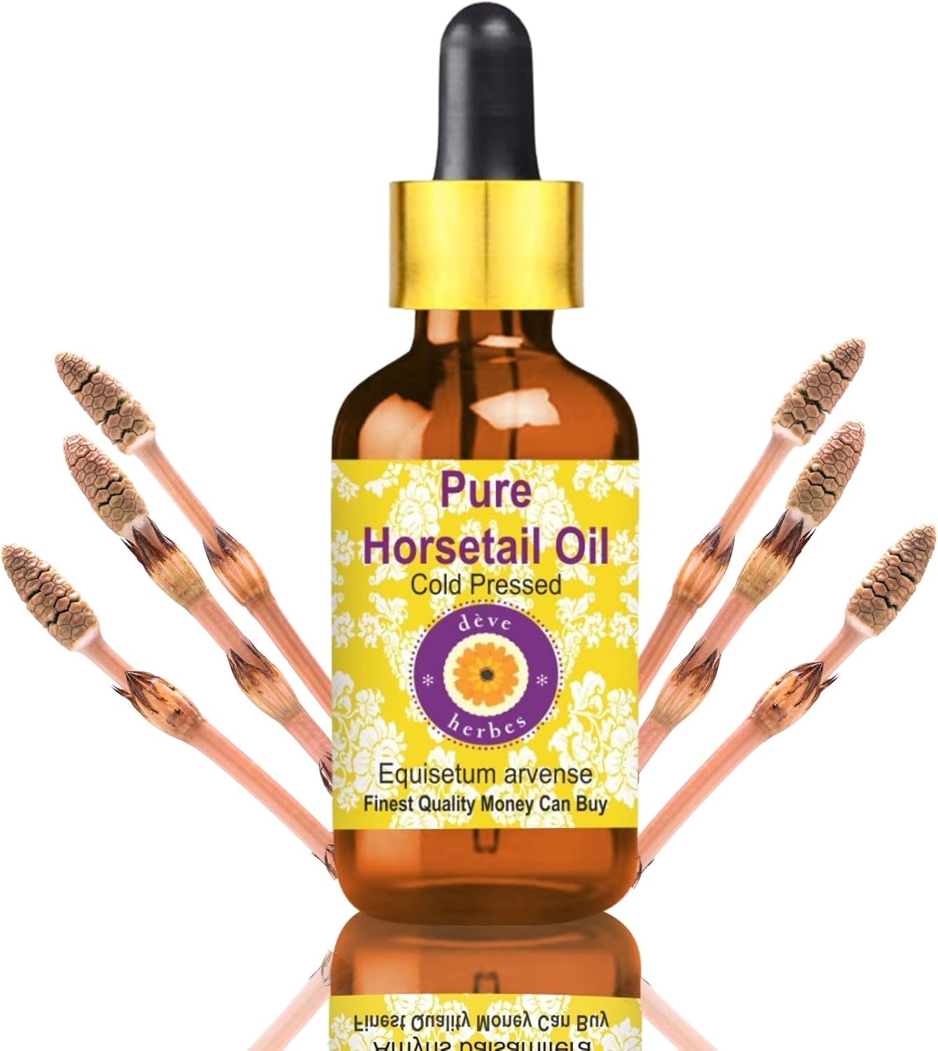 Deve Herbes Horsetail Oil (Equisetum arvense) with Glass Dropper | Cold Pressed | Pure | for Diluting Essential Oils | Hair, Skin & Massage | Non-Sticky | Lightweight | Unisex | 5ml (0.16 oz)