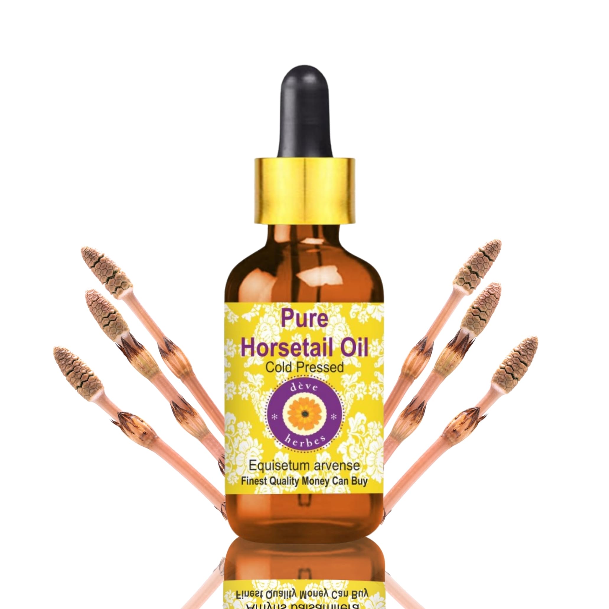 Huile de Prêle Equisetum arvense pure pour fortifier les cheveux cassants 10ml