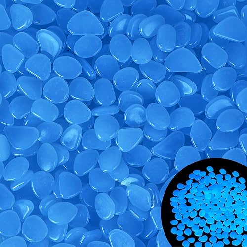 Kaiyuan Dynasty 300 piedras luminosas azules que brillan en la oscuridad para jardín, macetas, paisajismo, camino, relleno de jarrón, patio