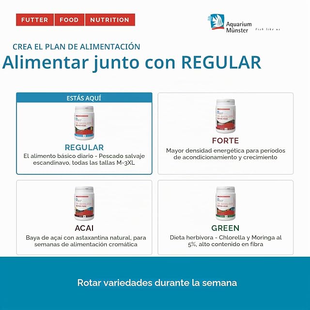 Foto 6 de 7 de Dr. Bassleer Biofish Food Regular "L - 150g