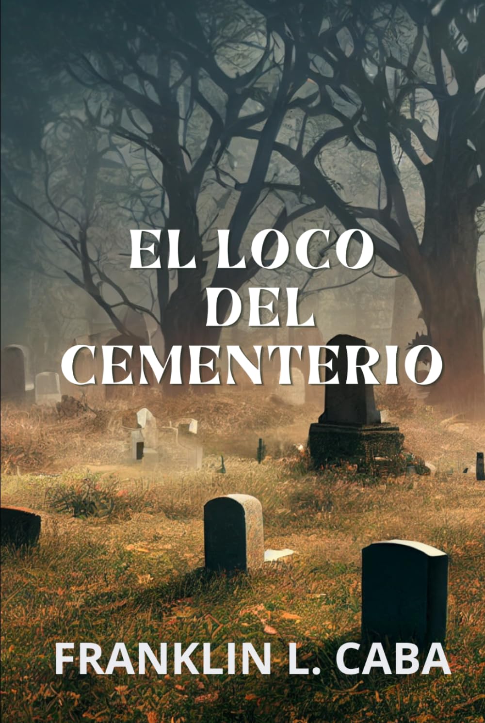 EL LOCO DEL CEMENTERIO: Una historia basada en el relato bíblico del gadareno