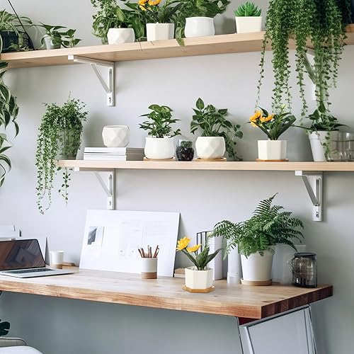 Miniatura 7 de 32 juegos de macetas para suculentas, macetas pequeñas para suculentas con drenaje de cerámica, maceta de cerámica con bandeja de bambú para