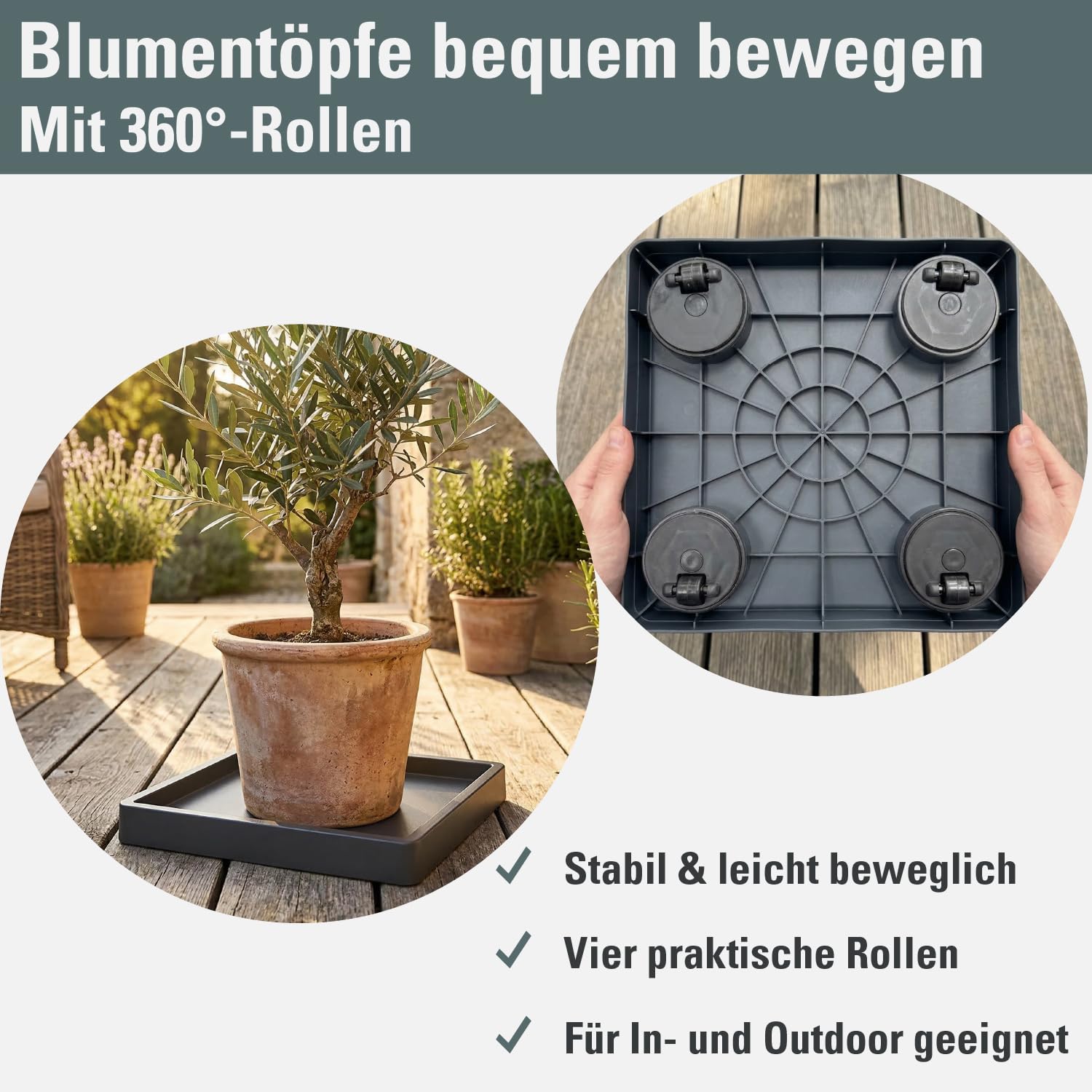 Prosperplast Mobile Saucer Square Blumentopf Untersetzer mit Rollen  Pflanzenroller Blumenroller Roller 360 Grad Drehbar Quadratisch  (292x292x57mm, Anthrazit) : Amazon.de: Garten