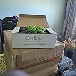 Review Image by Cyndibear Cyndibear