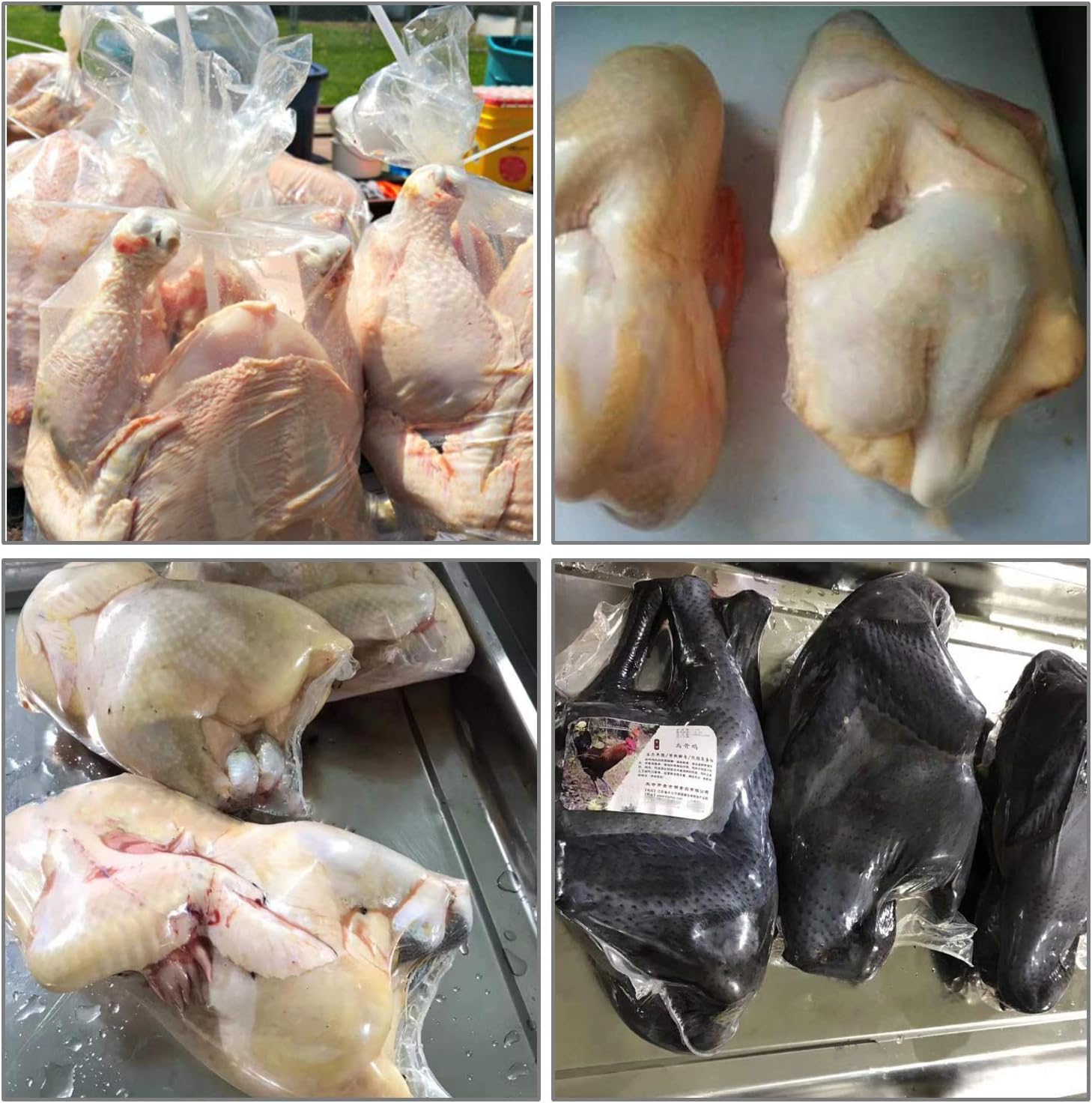 Poultry Shrink Bags 10x16 In 50 PCS Chicken Bags Heat Shrink for Freezer