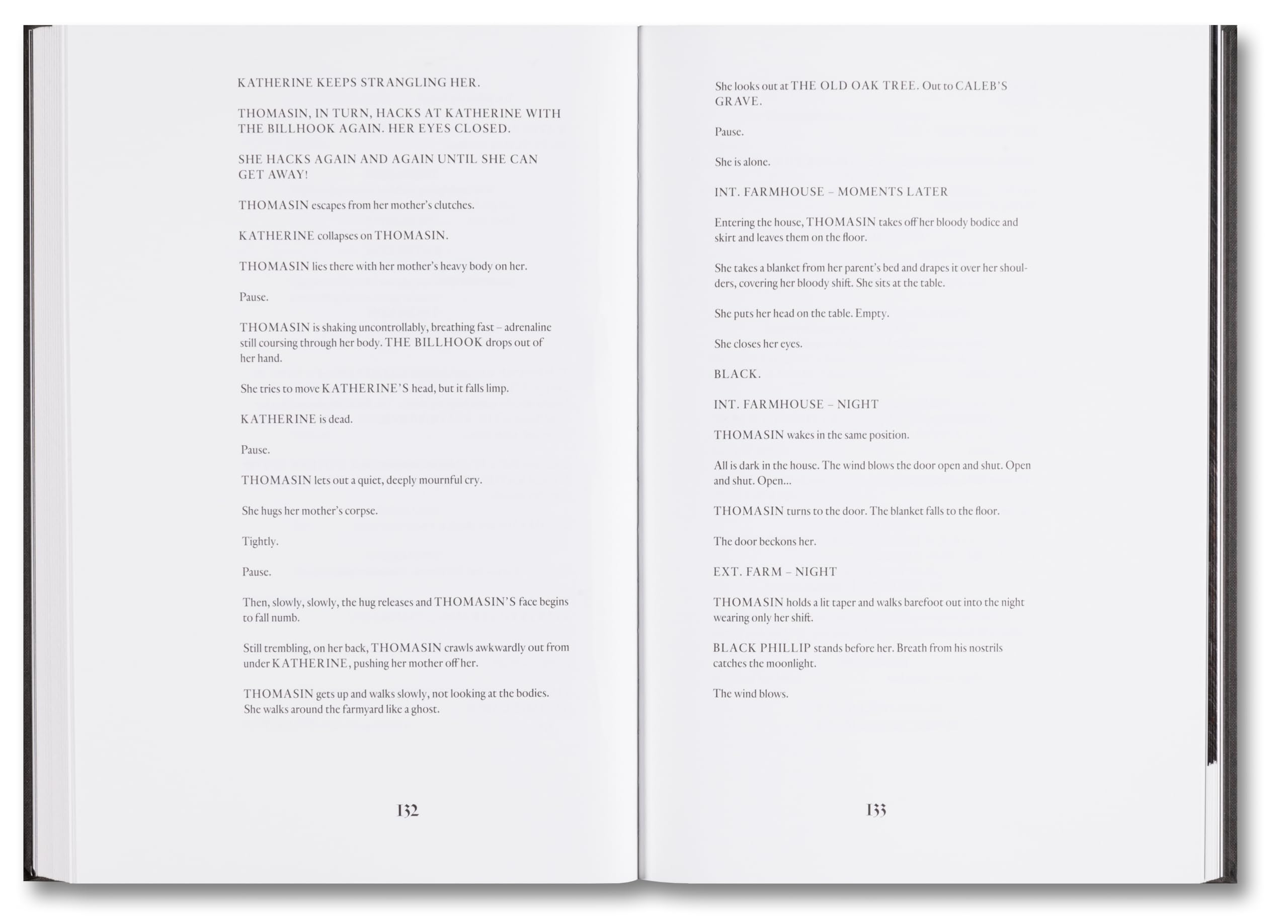 The Witch Screenplay Book