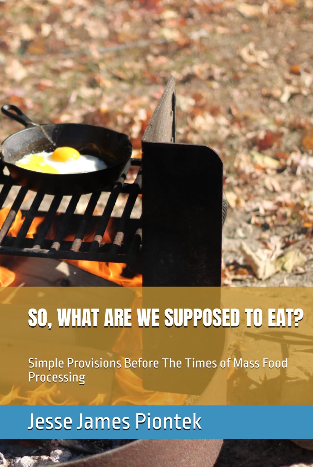 SO, WHAT ARE WE SUPPOSED TO EAT?: Simple Provisions Before The Times of Mass Food Processing