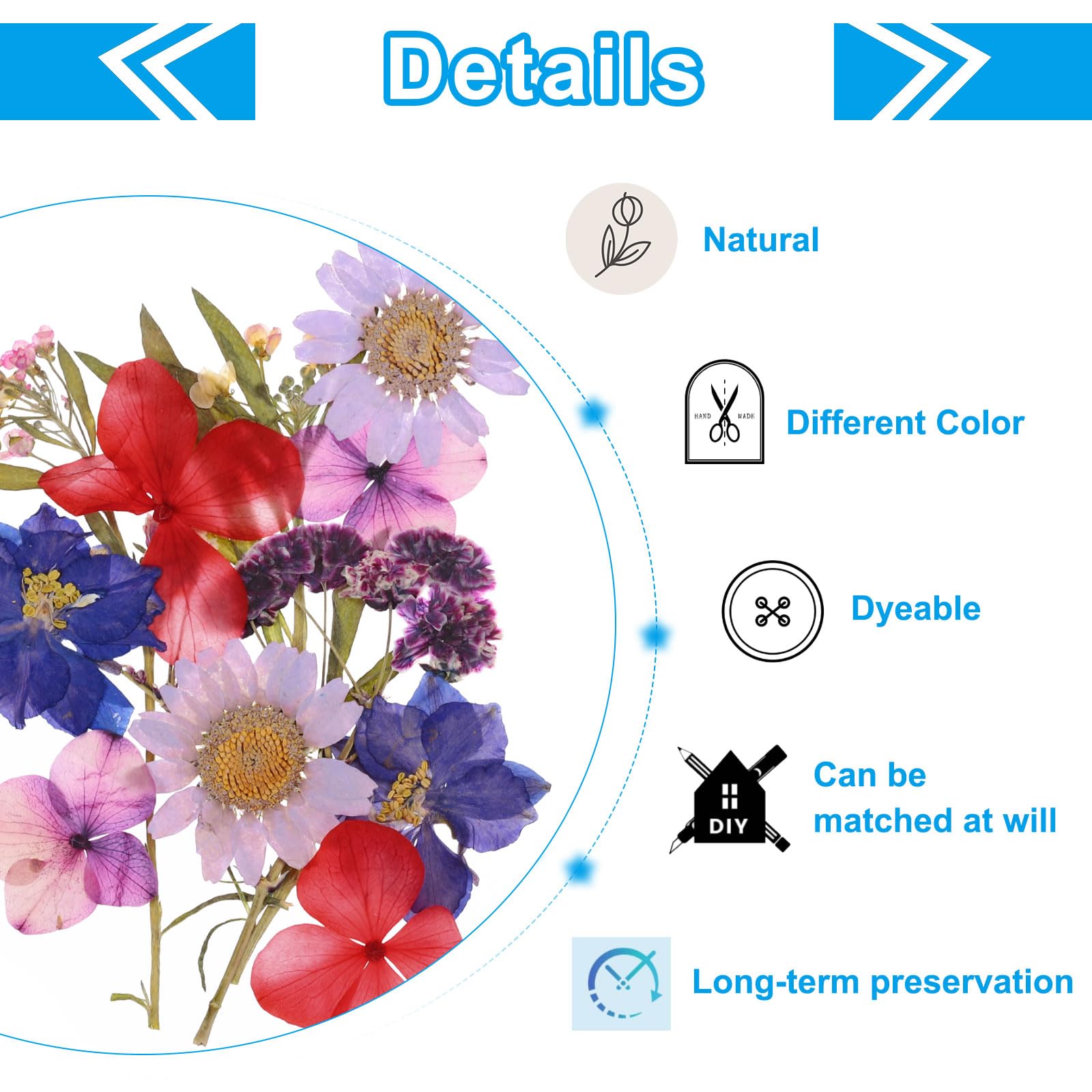 PATIKIL Dried Pressed Flowers - Image 3