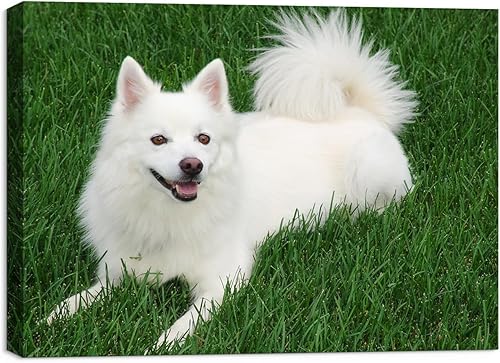 Impresiones fotográficas personalizadas en lienzo  Impresiones en lienzo con tus fotos sobre lienzo, arte de pared para decoración del hogar,