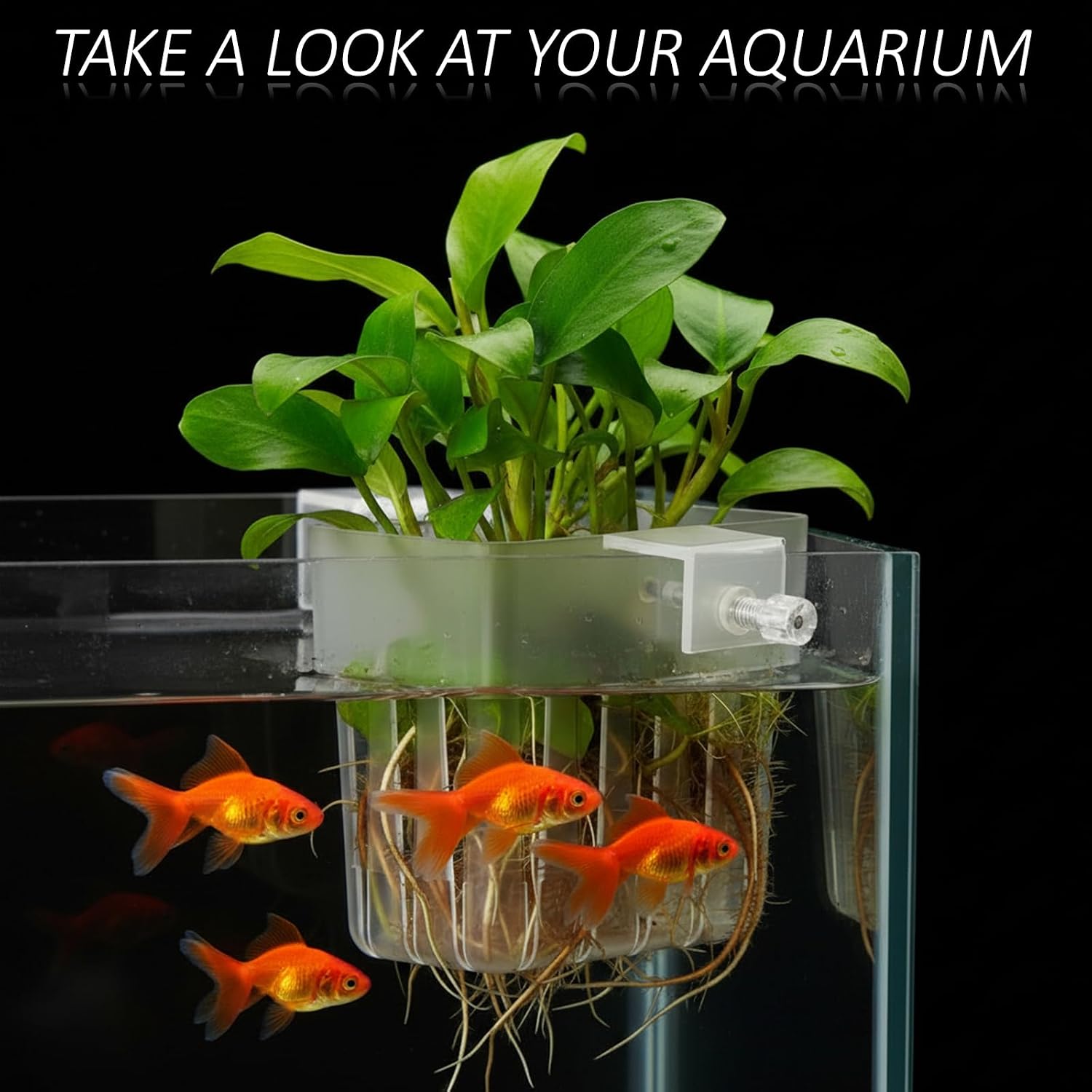 2 PCS Clear Aquarium Plant Holder Top Hanging Fish Tank Plant Pot Aquarium Cultivation Aquascape Planter Cups with Hooks Screws for Water Landscape Feature Decorations, Fits up to 0.8in Edges