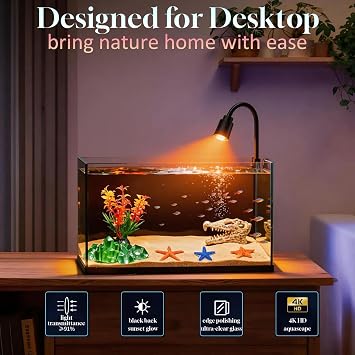 Ultra-Clear Glass Rimless Black Small Fish Tank Kit