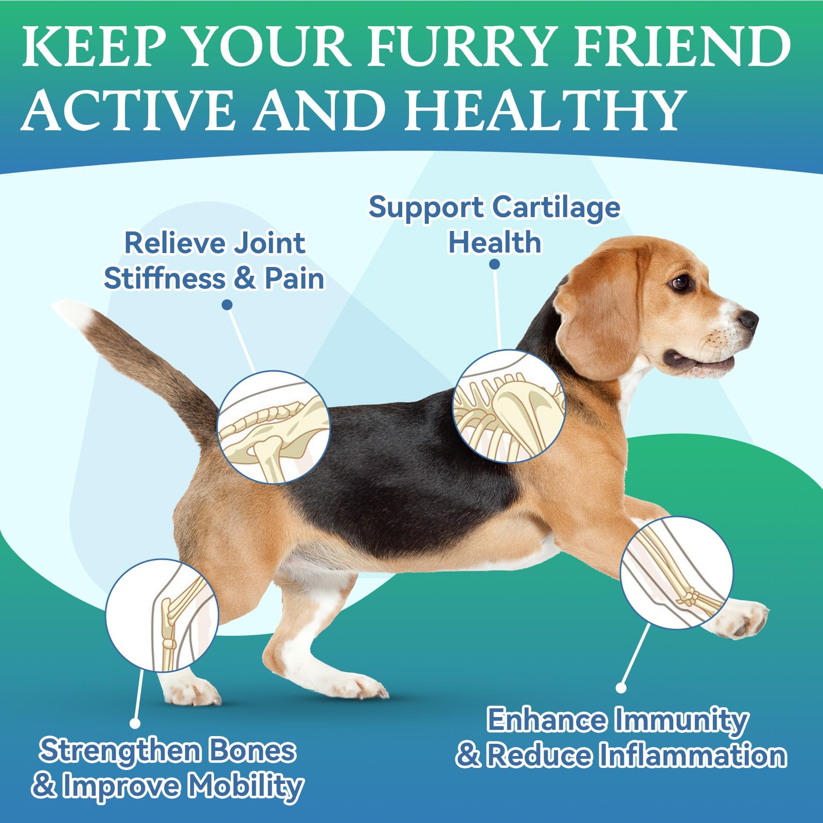 Joint Supplements For Dogs - Image 2