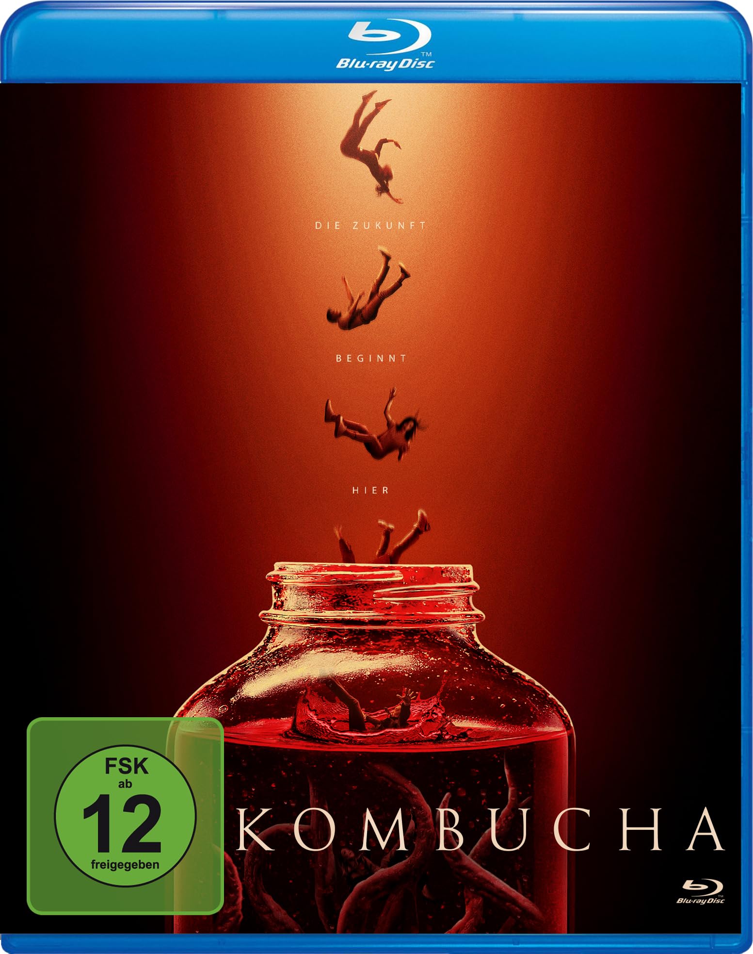 Kombucha artesanal baja en azúcar y rica en probióticos
