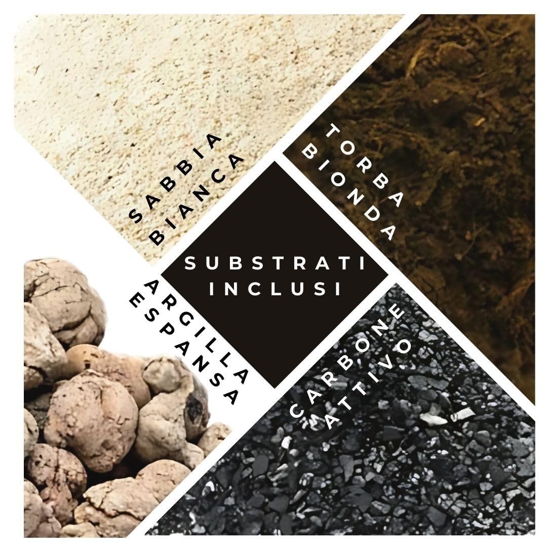 Kit Terrarium Lamparium Grande con Piante Grasse | Vaso in Vetro Ø23,5 cm con Paralume Incluso | Include Substrati, Accessori e Terrario Fai-da-Te