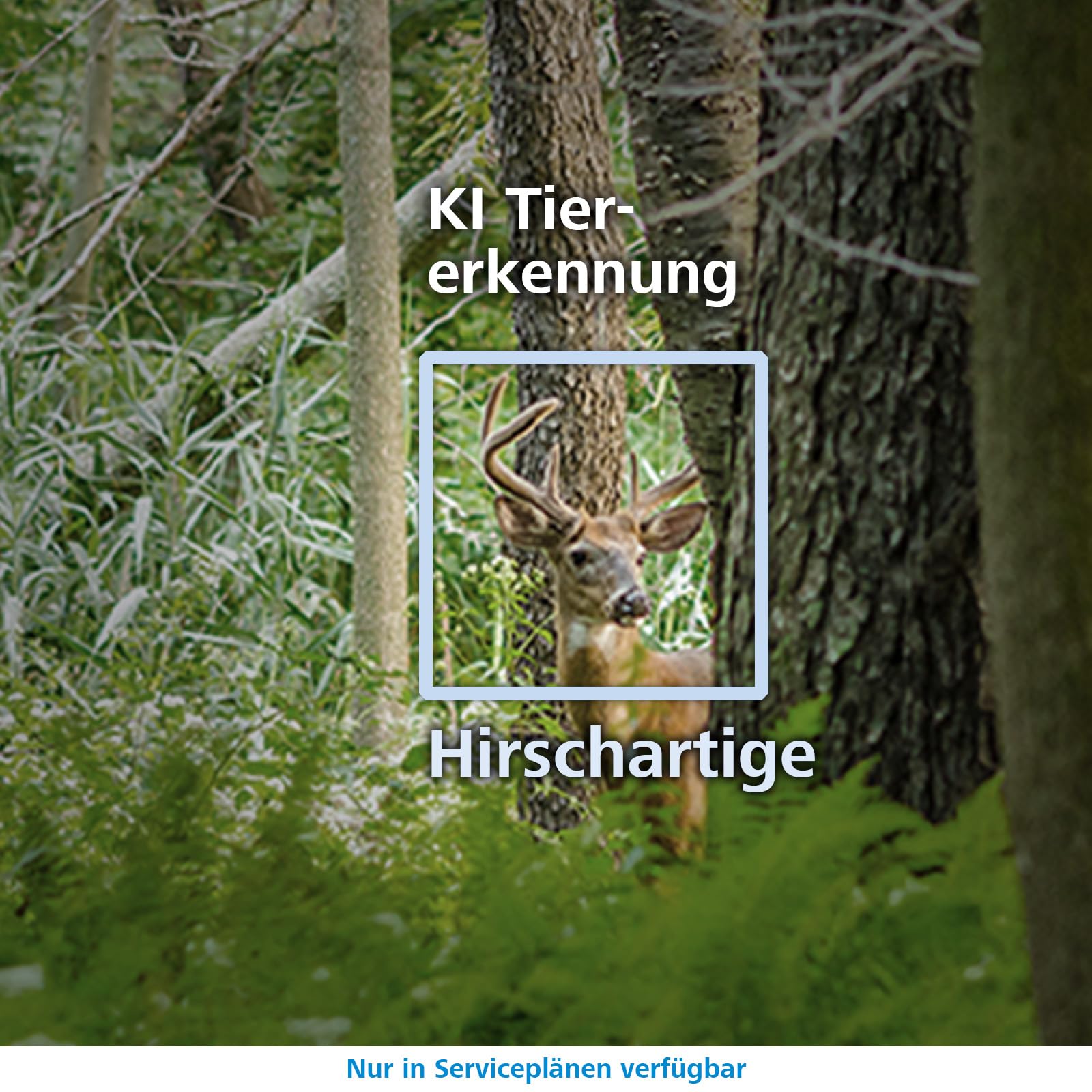 ZEISS Secacam 3 60° - 4G Premium Wildkamera mit Handyübertragung App, SIM-Karte, 32 GB interner Speicher, 940 nm LEDs, APP-Steuerung, Bewegungsmelder Nachtsicht, Ideal für Tierbeobachtung & Sicherheit