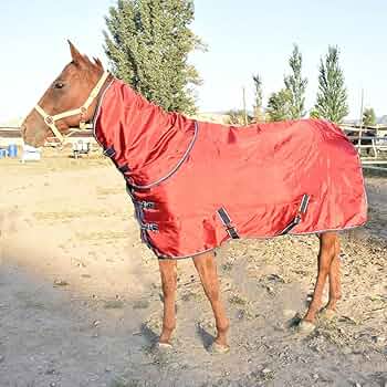 Amazon.com: Grafkn Horse Blanket Winter Thick Cotton Horse