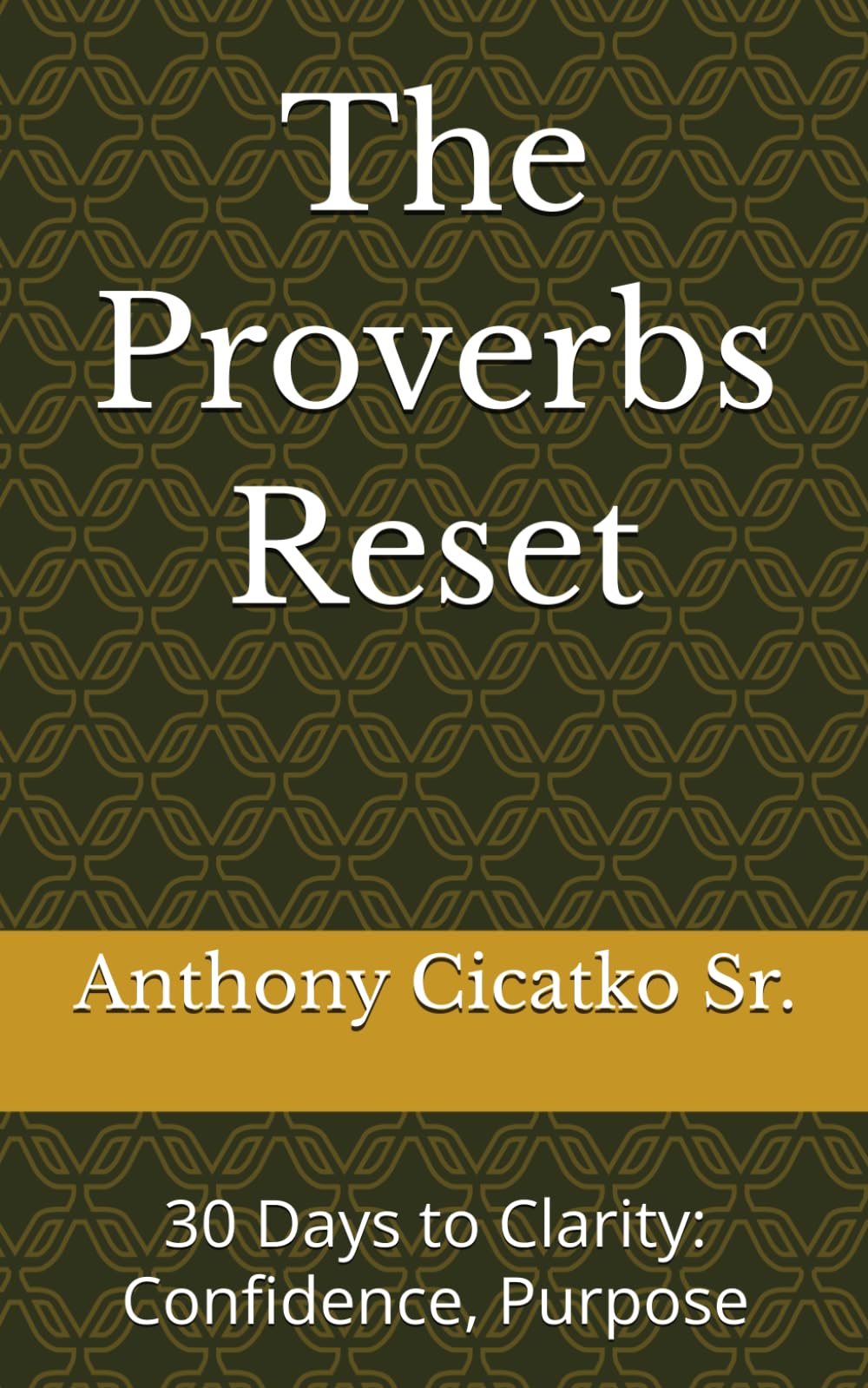 The Proverbs Reset: 30 Days to Clarity: Confidence, Purpose