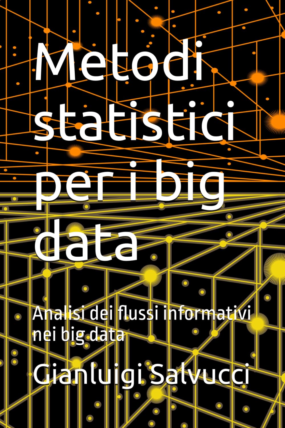 Metodi statistici per i big data: Analisi dei flussi informativi nei big data (Statistica Teoria e prassi)
