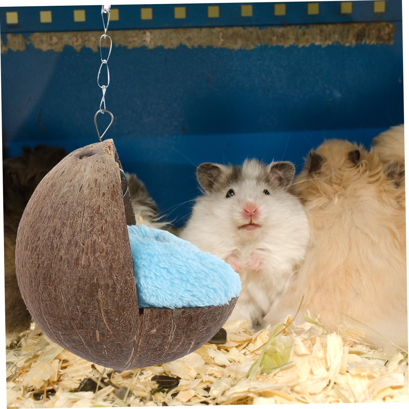 INOOMP 2stücke Coconut Shell Nest Für Hamster Meerschweinchen Und Eichhörnchen Gemütlicher Schlafplatz Natürlicher Kokosnussschale Zufällige Farben Für Kleine Haustiere