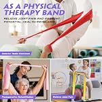HOXWC Exercise Bands, Resistance Bands Women, Physical Therapy Bands for Stretching, Recovery, Pilates, Yoga, Rehab, Gym, Home Exercise, Elastic Workout Bands with Training Poster
