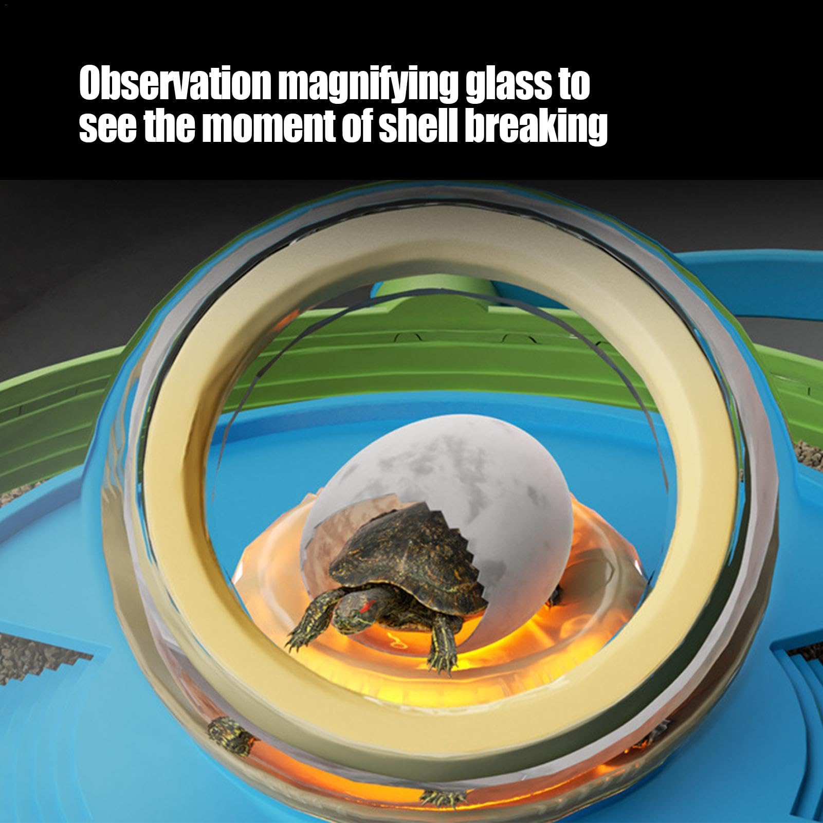 Turtle Habitat - Starter Kit Incubatore per tartarughe con , serbatoio