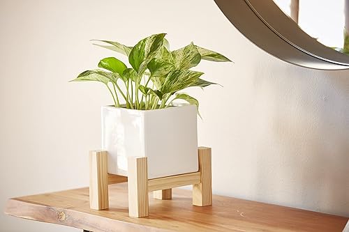 Miniatura 5 de Southern Patio Hemingway - Maceta cuadrada de cerámica para interiores con soporte de madera, color blanco