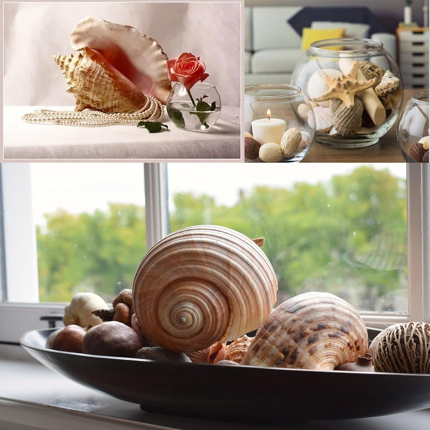 Conchiglie marine per decorare 15 conchiglie grandi a forma di stella marina per feste in spiaggia, riempitivi per vasi, decorazioni per la casa, artigianato fai da te, bagno, decorazioni per acquari