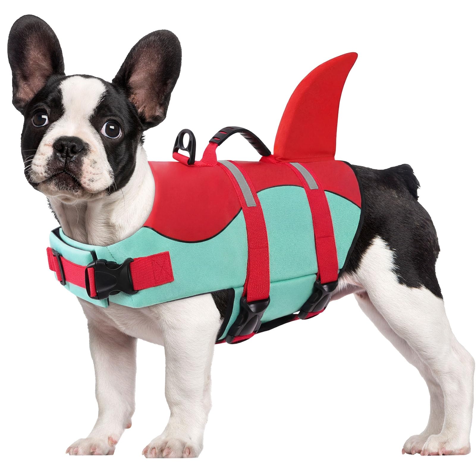 CITÉTOILE Schwimmweste Hunde Hai, Leicht und Sicher für Wassersport, hundeschwimmweste mit Griff und Reflektierend für Kleine Mittlere und Große Hund, Rotgrün, M