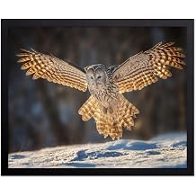 Monem Art Bird on Snowy Landscape Print - Ural Owl in Flight Poster - Animal Photography Wall Decor - Aesthetic Bedroom or Living Room Decor - 16x20 Unframed Wall Art by Poreider Annie