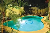 Vista 3 de Dolphin Group - Mosaico de cerámica para piscina (Multi, 42 x 42 pulgadas)