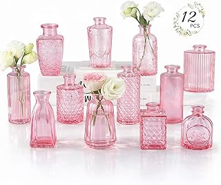 RUCKAE 12 Pack Glass Bud Vases Mini Flower Vase Small Vintage Vases for ...