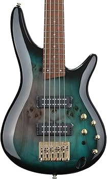 Amazon.com: Ibanez SR405EPBDX 5-string Bass Guitar - Tropical