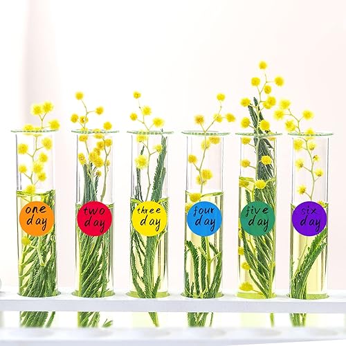 Miniatura 3 de Calcomanías redondas moradas de 0.50 pulgadas con código de color, impermeable, rollo extraíble de 1000 unidades