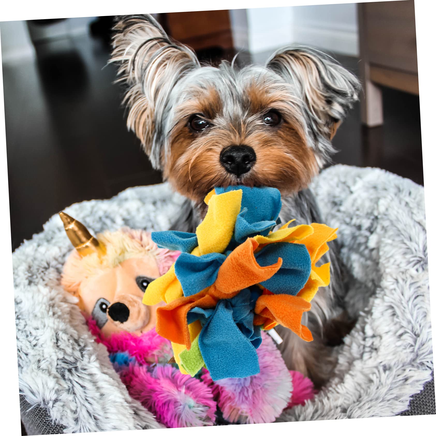 Kisangel 1 Pc de Juguete Dog Toys comedero para Perros Juguete de Entrenamiento para Cachorros s de alimentación Lenta para Perros para Mascota