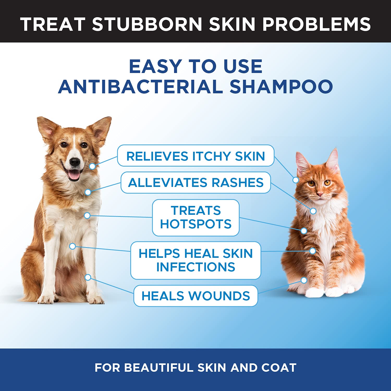 Dog Shampoo With Chlorhexidine And Ketoconazole atelieryuwa.ciao.jp