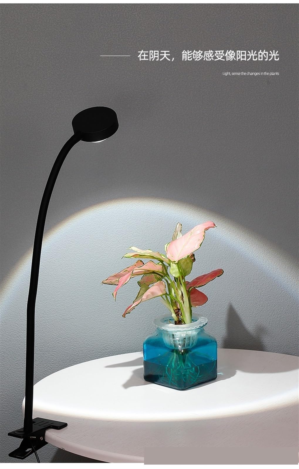 Lampes de culture for plantes d'intérieur, lampes LED à pince for pot fleurs for éclairage, spectre complet, petite plante, noir,Économie d'énergie(10W White【6000K】)