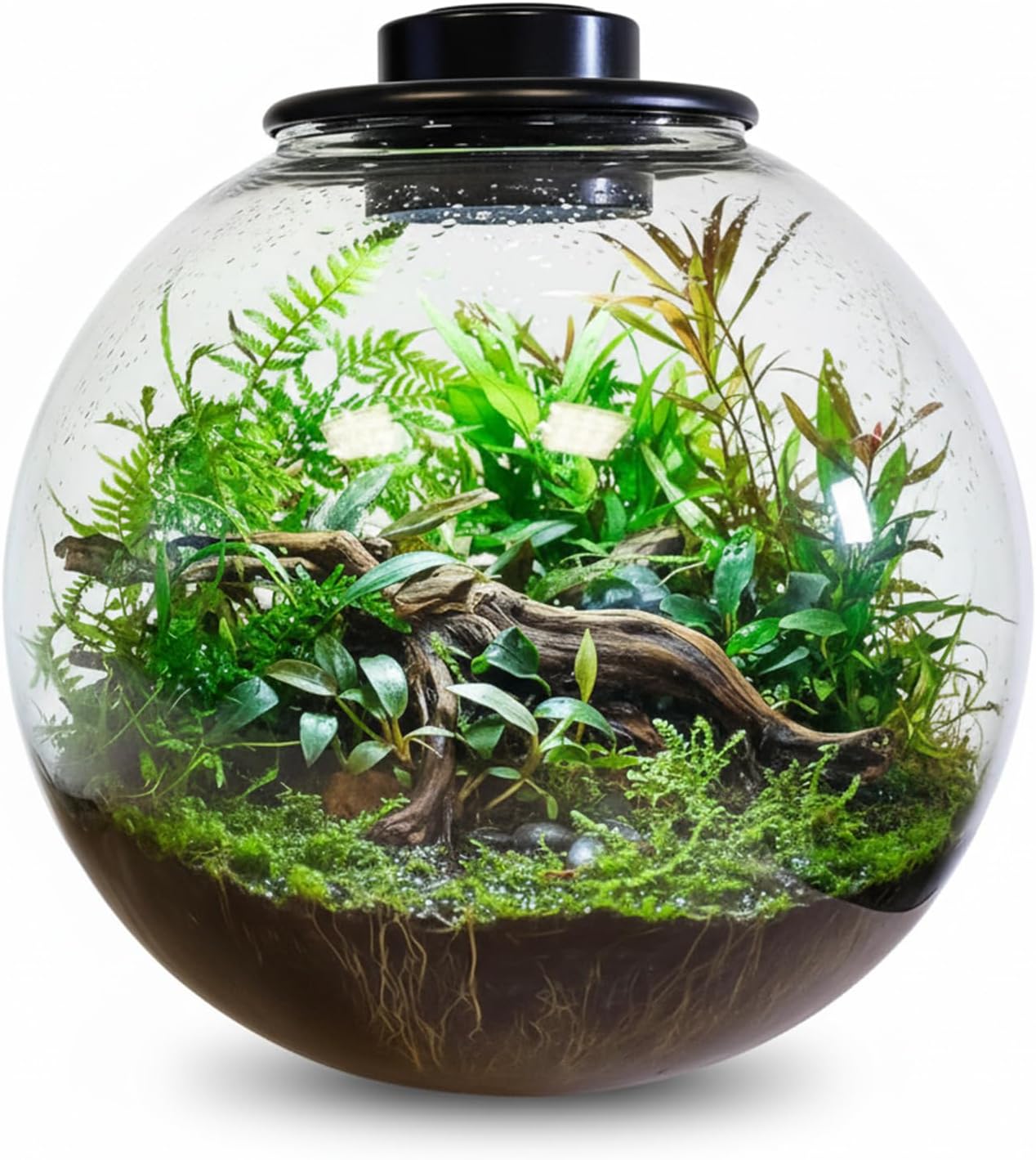 Desktop Glass Terrarium Bowl with Grow Light (H:8.5" D:8.5"), for Succulent, Moss, Miniature Gardening Landscape, Betta Fish Tank, Indoor Plant Growth, Office Home Decoration, Plant Lovers Gifts