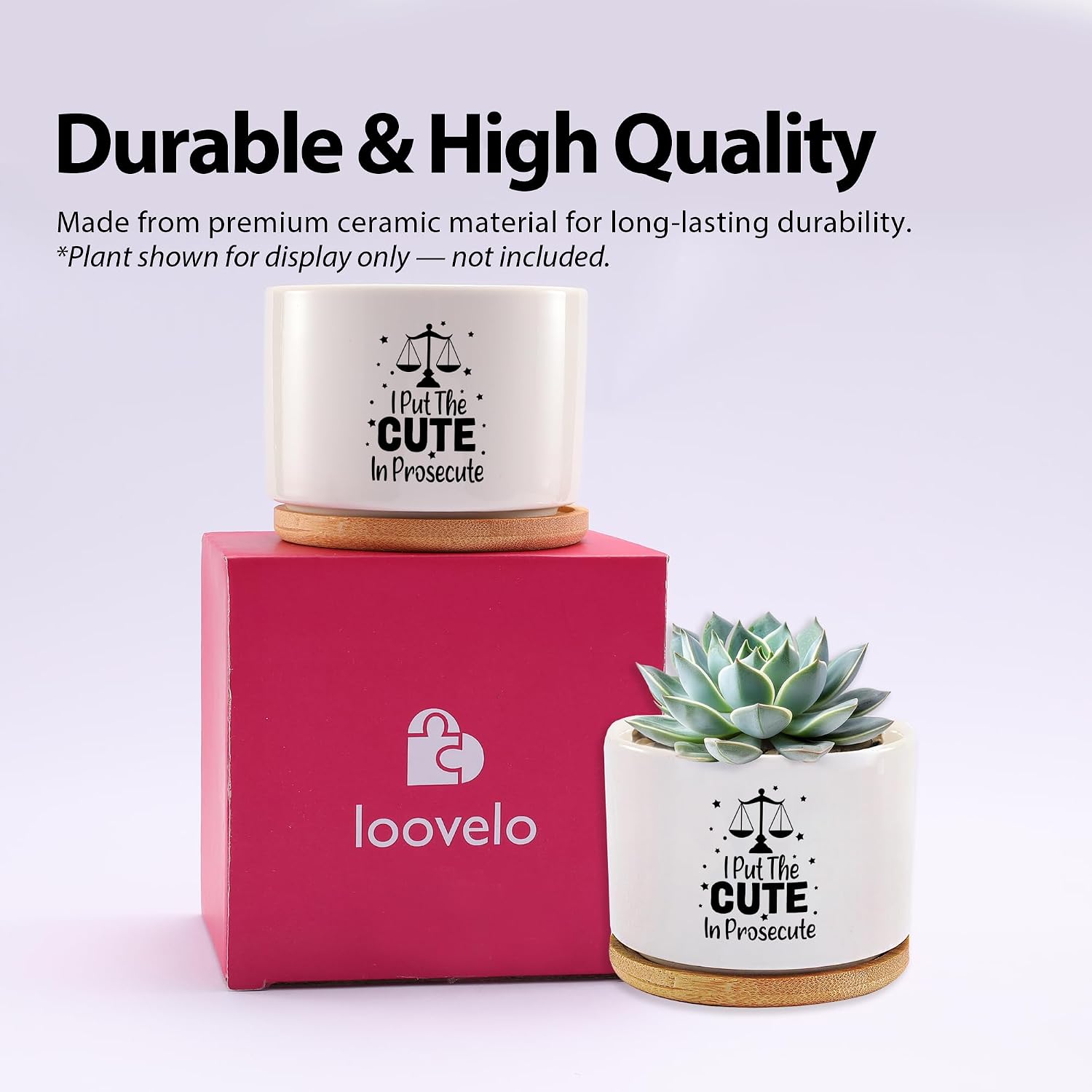 I Put The Cute in Prosecute Lawyer Gifts Law Student Graduation Gifts Attorney Ceramic Succulent Plant Pot with Bamboo Tray Round Home Office Decor 3.5 Inch White (No Plants) image 4