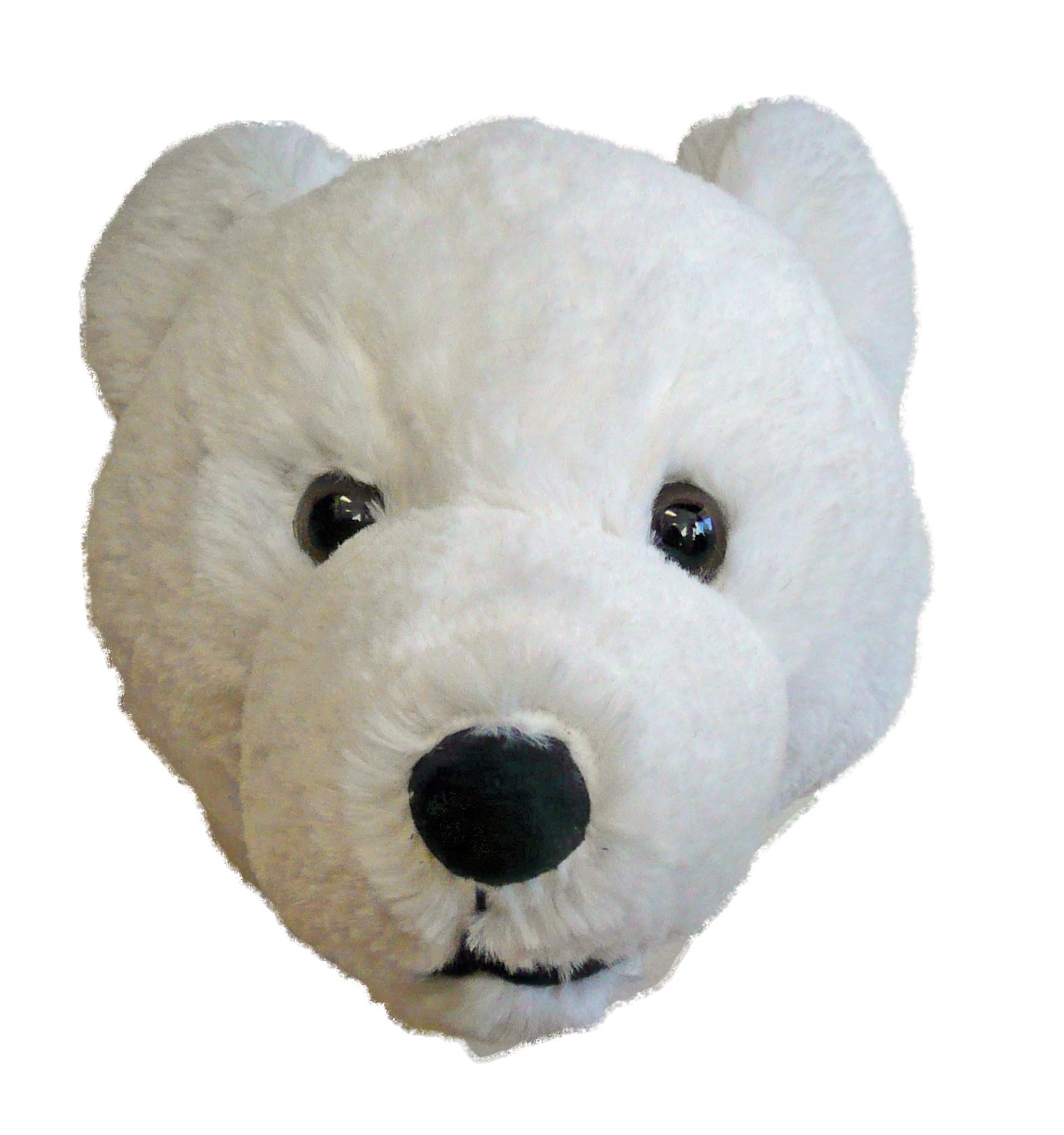 stuffed bear head wall mount