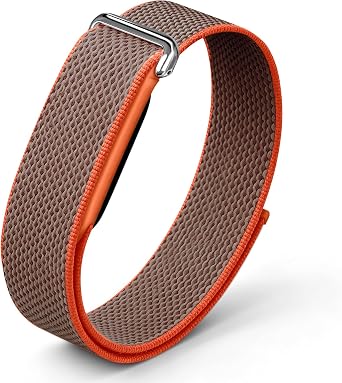 Google Fitbit Air    Fitbit Air Fitness