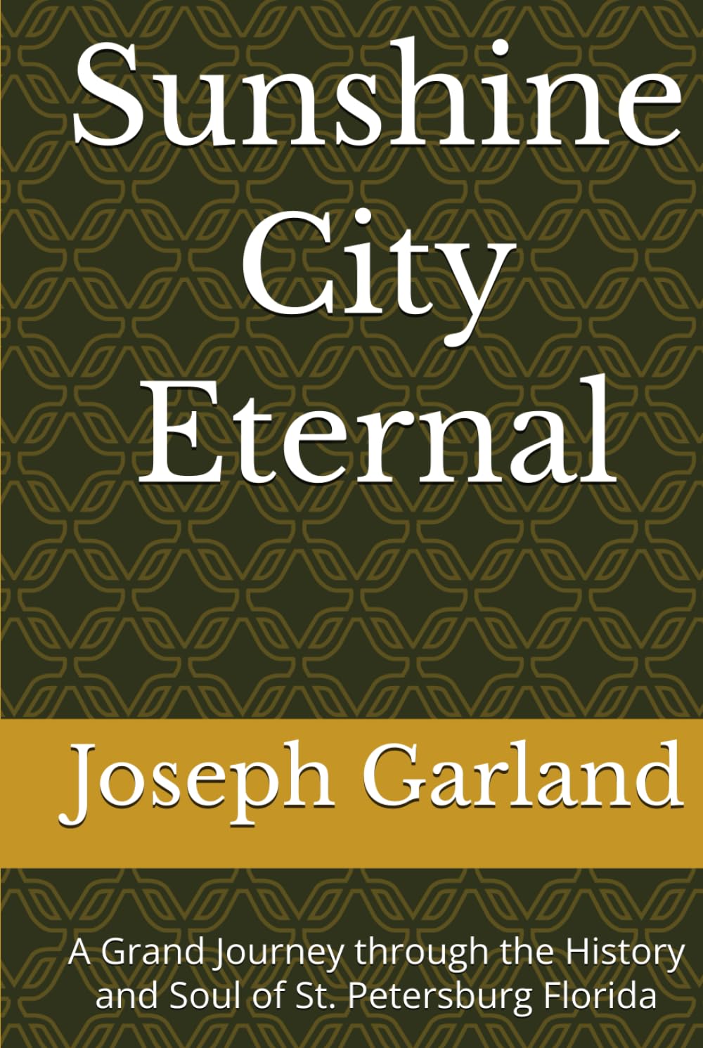 Sunshine City Eternal: A Grand Journey through the History and Soul of St. Petersburg Florida