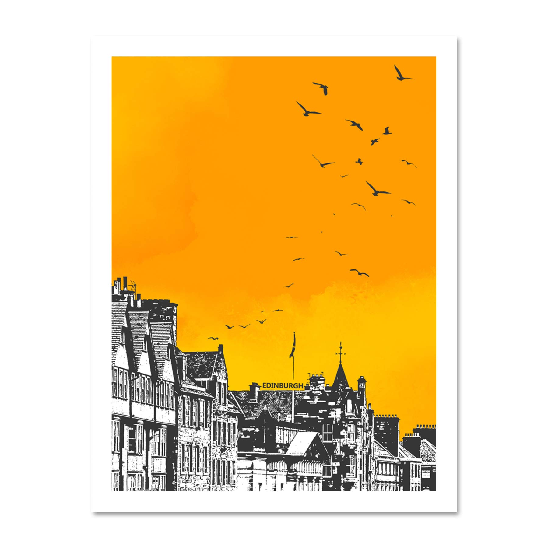 Wee Blue Coo Rooftop Birds Edinburgh 18x24 Large Framed Art Print Poster Wall Decor 18x24 inch